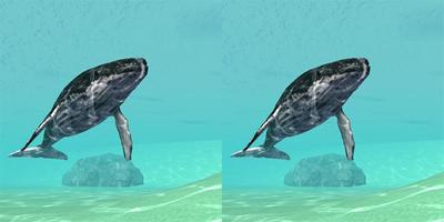 Dive world