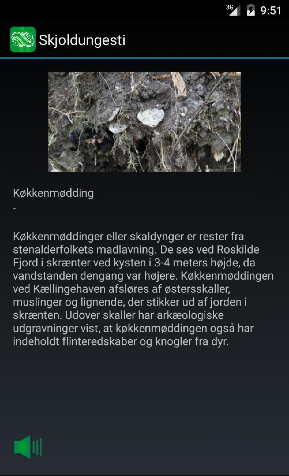 Skjoldungesti