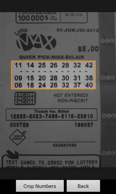 Lottery Winner