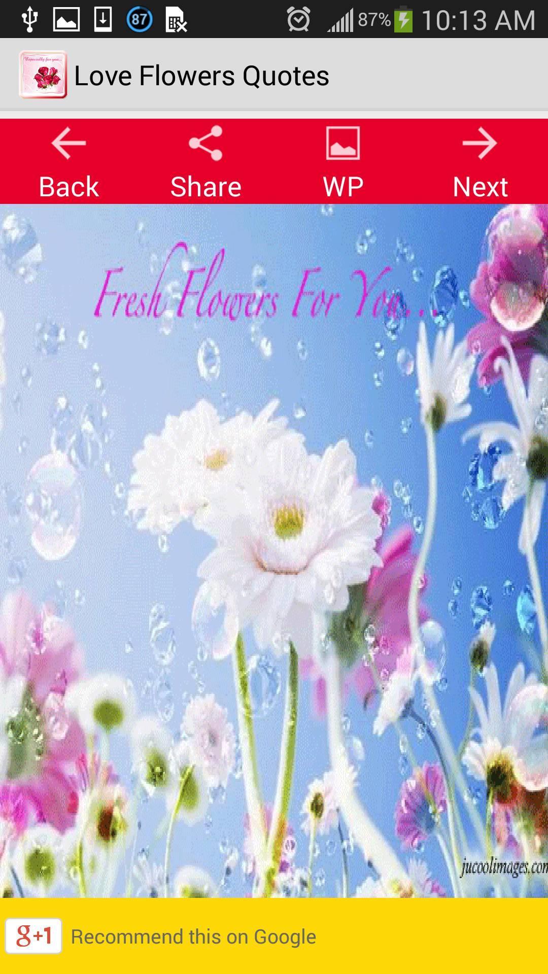 Love Flowers Quotes