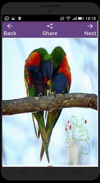 Daily Greeting