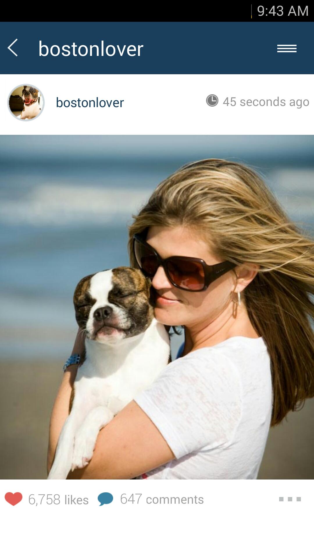 PetsUnlimited - Beta