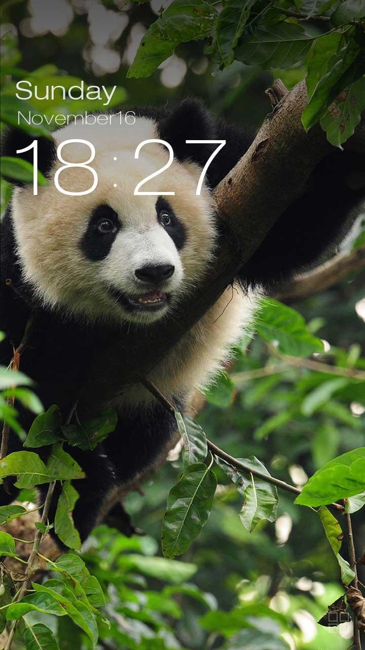 ZUI Locker Theme - Panda