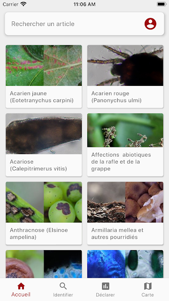 Di@gnoPlant Vigne