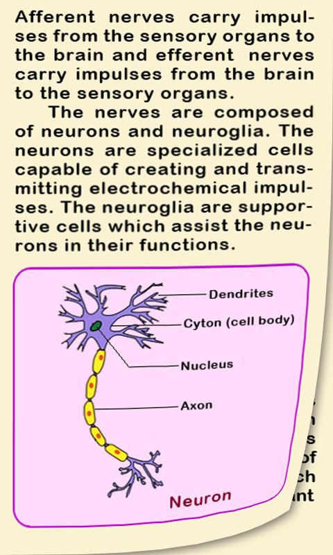 Biology II