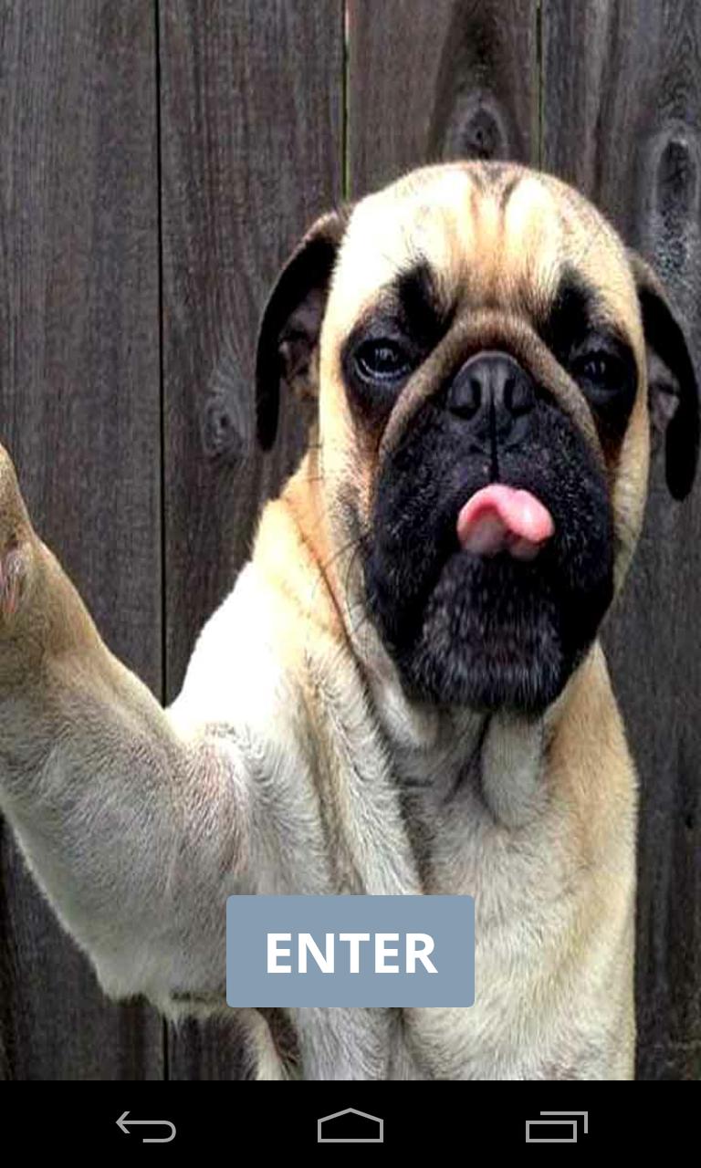Funny Images and Crazy Selfies