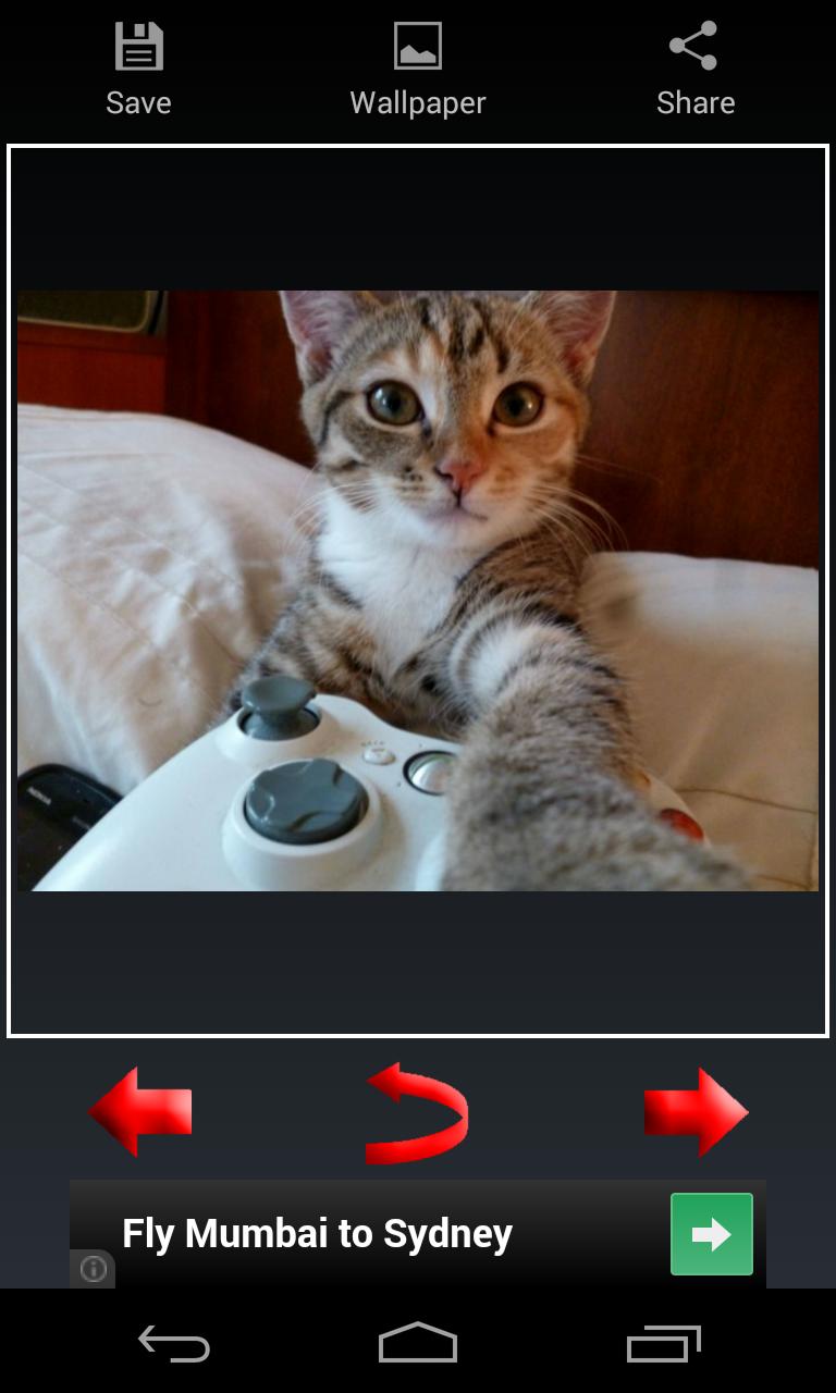 Funny Images and Crazy Selfies