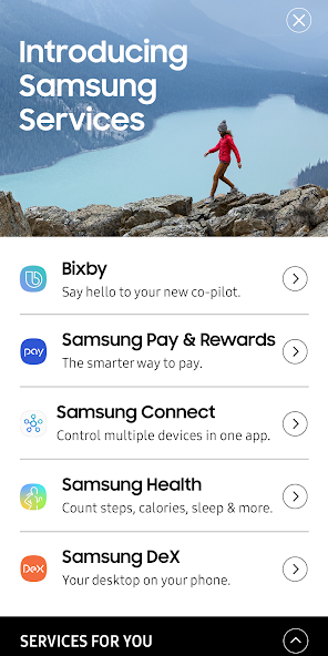 Samsung Services (US)