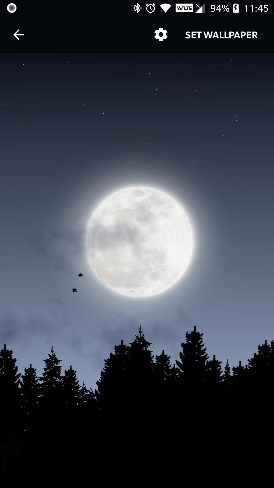 Night Sky HD