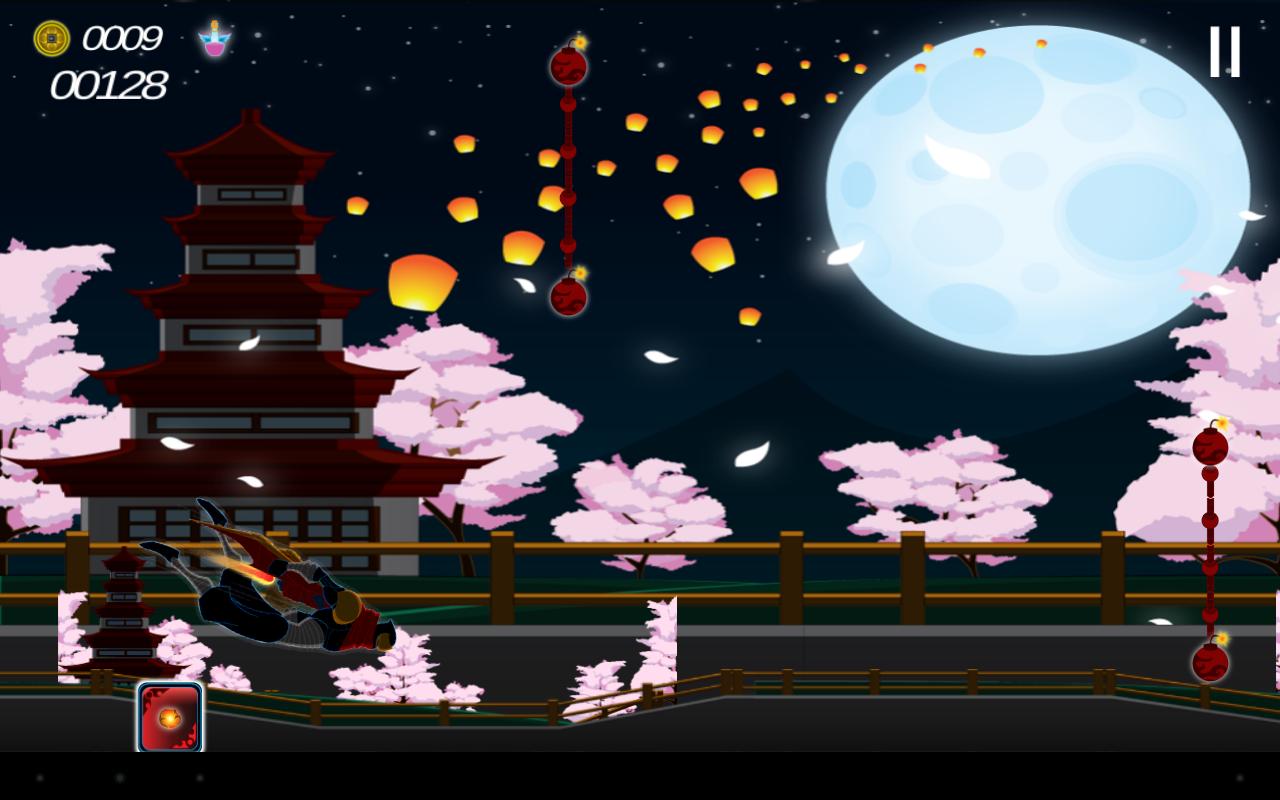 Ninja Flight