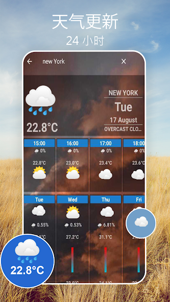 Weather Forecast: Live Weather