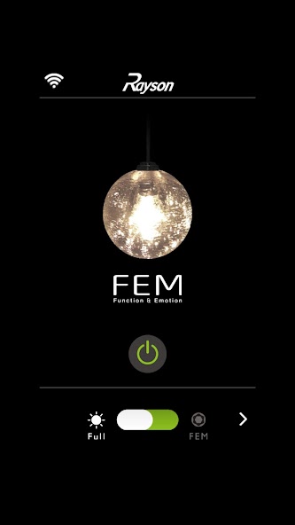 FEM