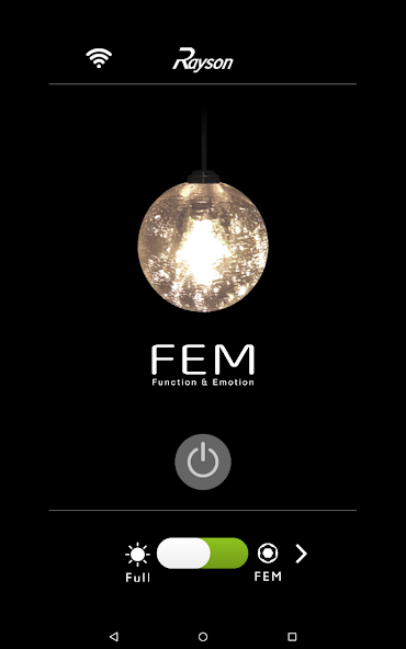FEM