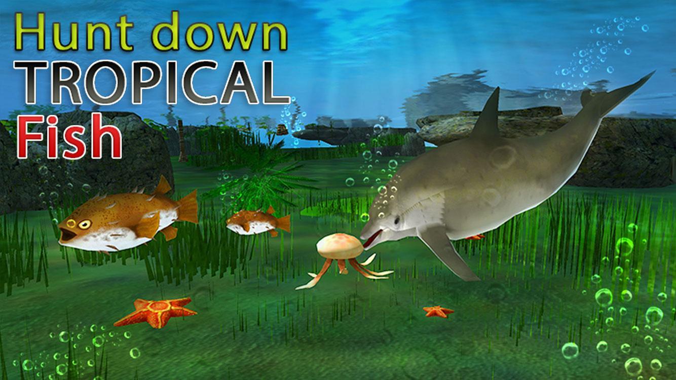 Real Dolphin Simulator