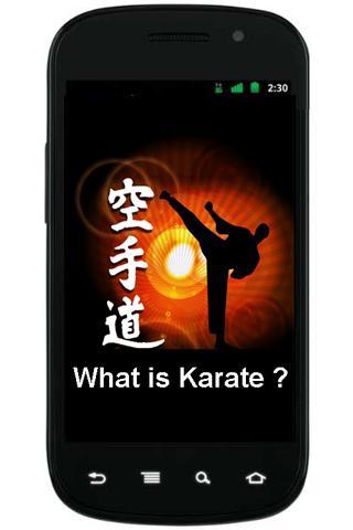 What is Karate ?