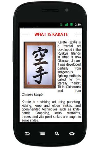 What is Karate ?