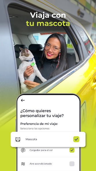 Taxis Libres