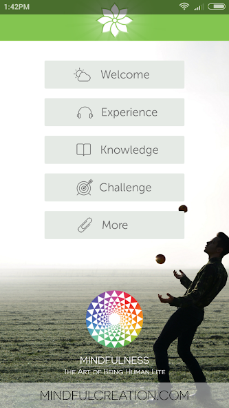Mindfulness