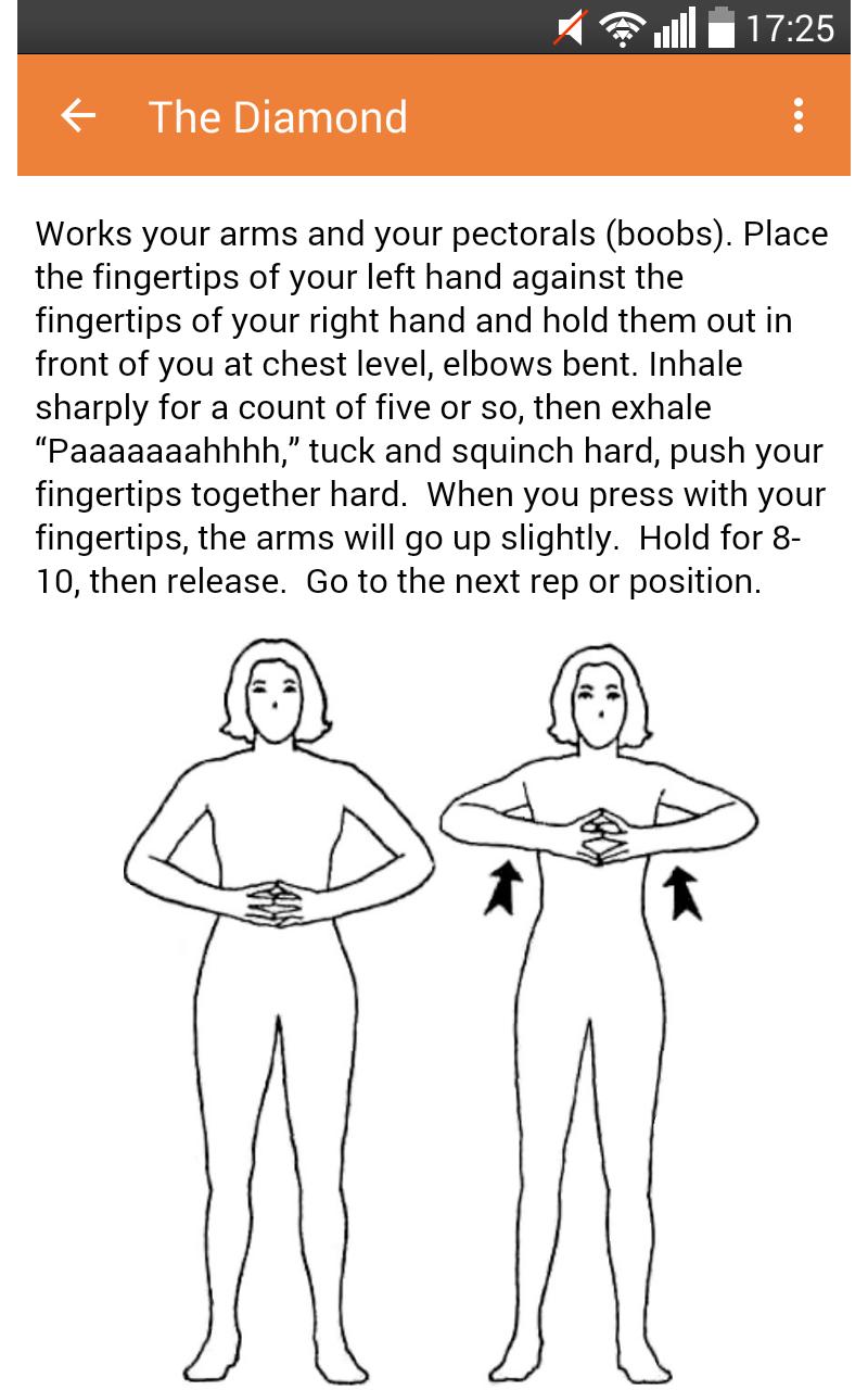 BodyFlex