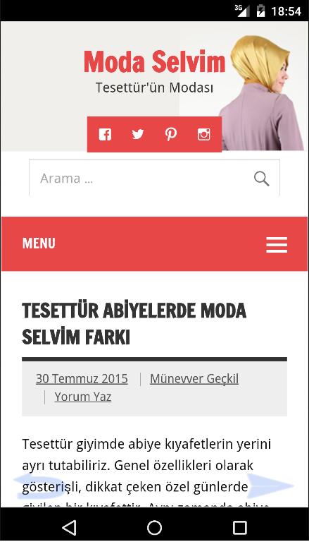 Modaselvim Blog