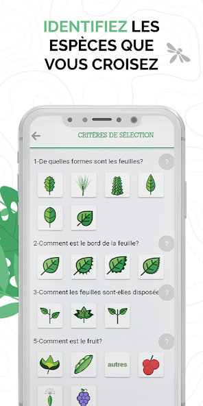 Ecobalade