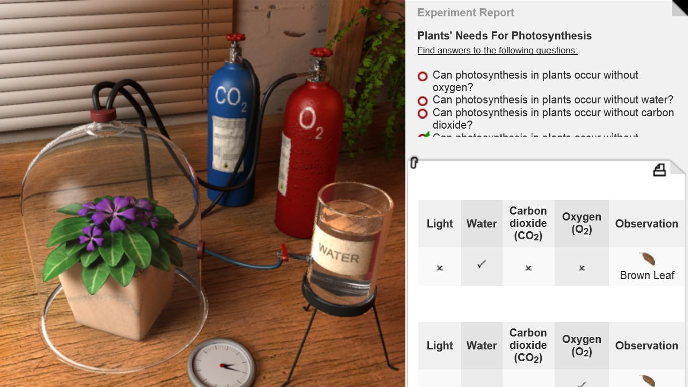 Plants & Photosynthesis