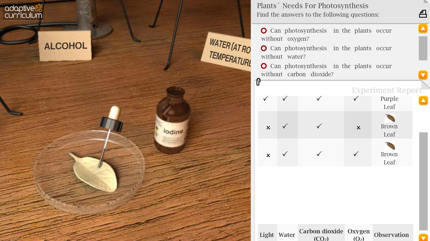 Plants & Photosynthesis