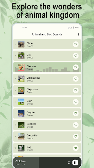 Animal and bird sounds