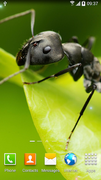 Spring Live Wallpaper HD