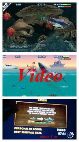 Hottest Hungry Guide 4 Shark