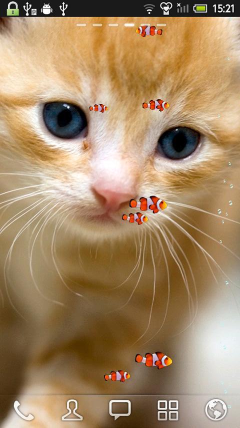 KITTY & FISH LIVE WALLPAPER(1)