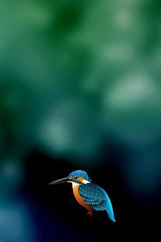 Kingfisher LiveWallpaper Trial
