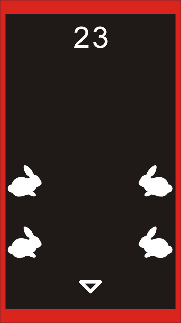 showabbit
