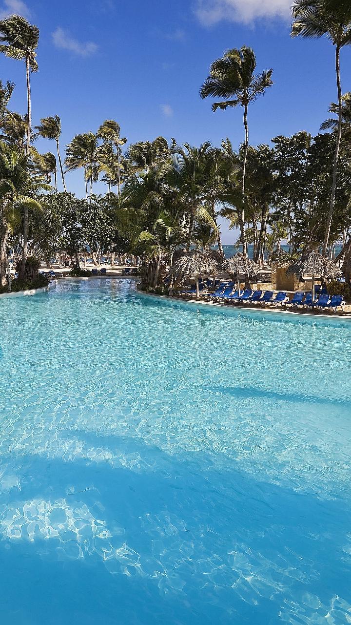 Tropical HD Wallpapers