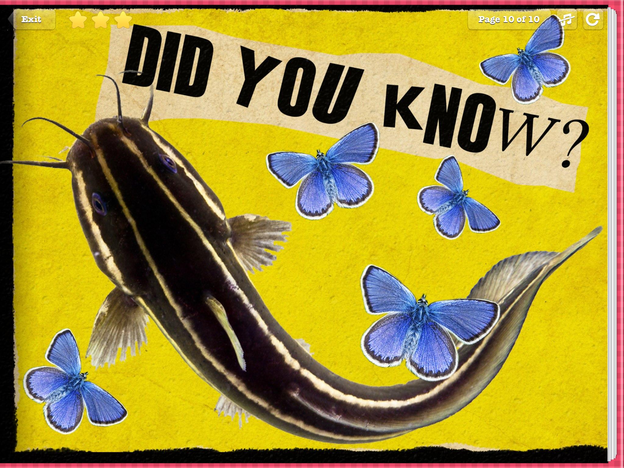 Human Anatomy for Kids - Taste