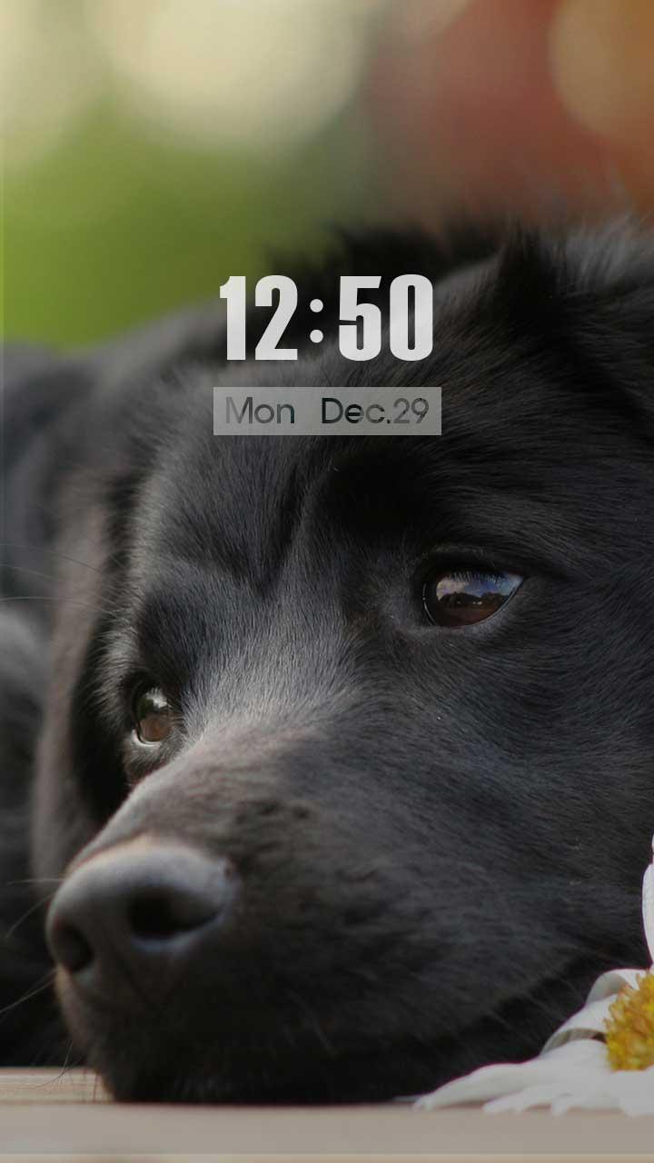 ZUI Locker Theme - Dear Friend