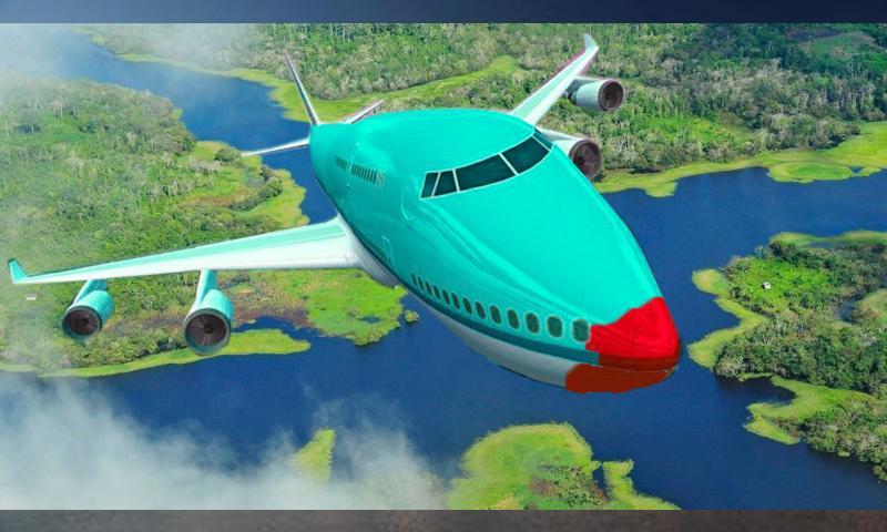 Flight Simulator: Airplane Pilot