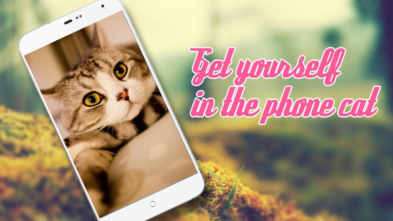 Stroke The Cat Simulator