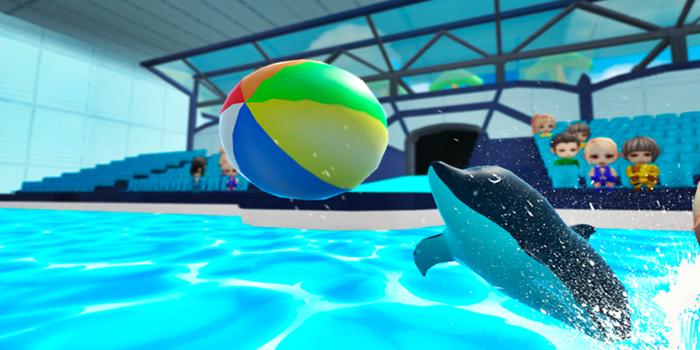 The Dolphin Aquarium Show