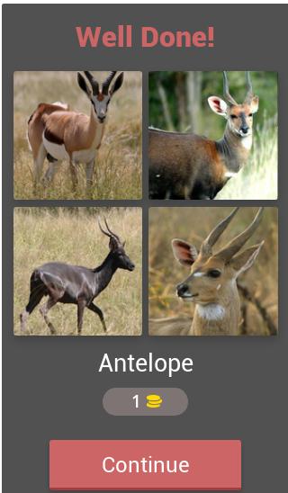 4 Pics 1 Word Animals