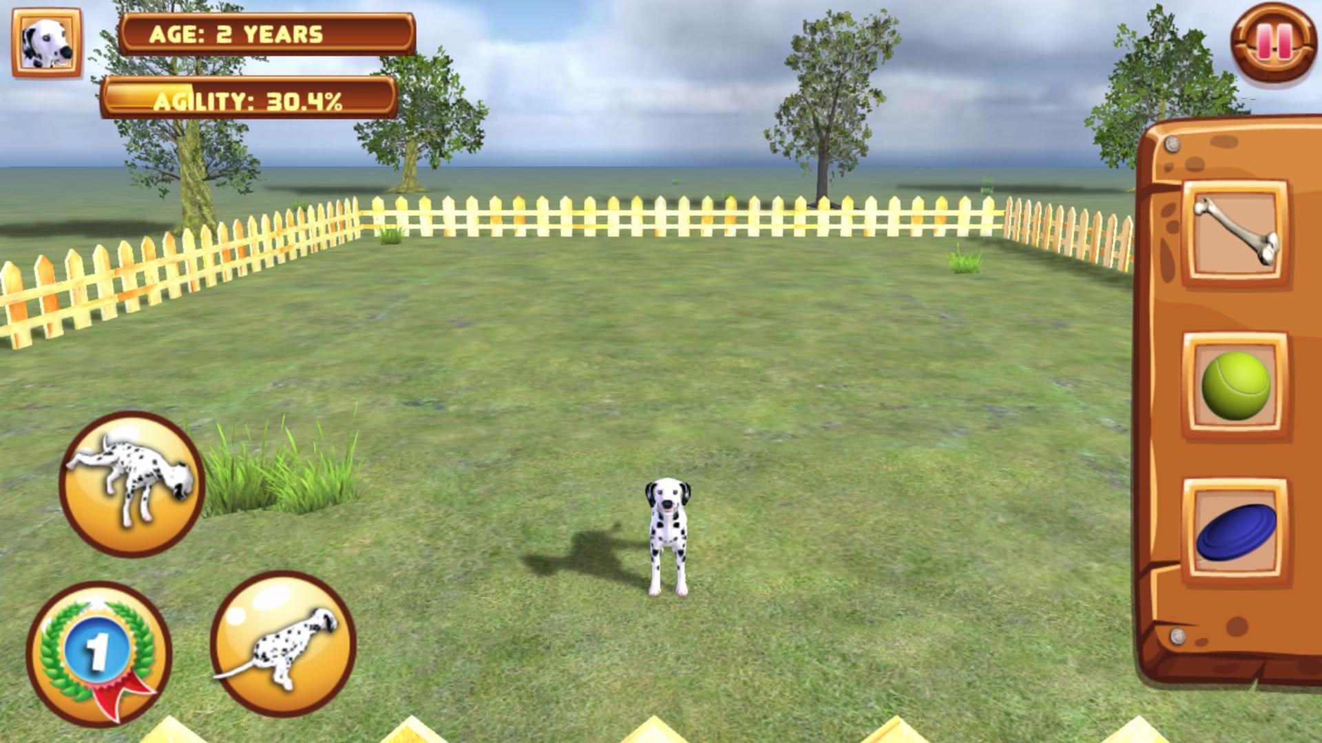 Play with your Dog: Dalmatian