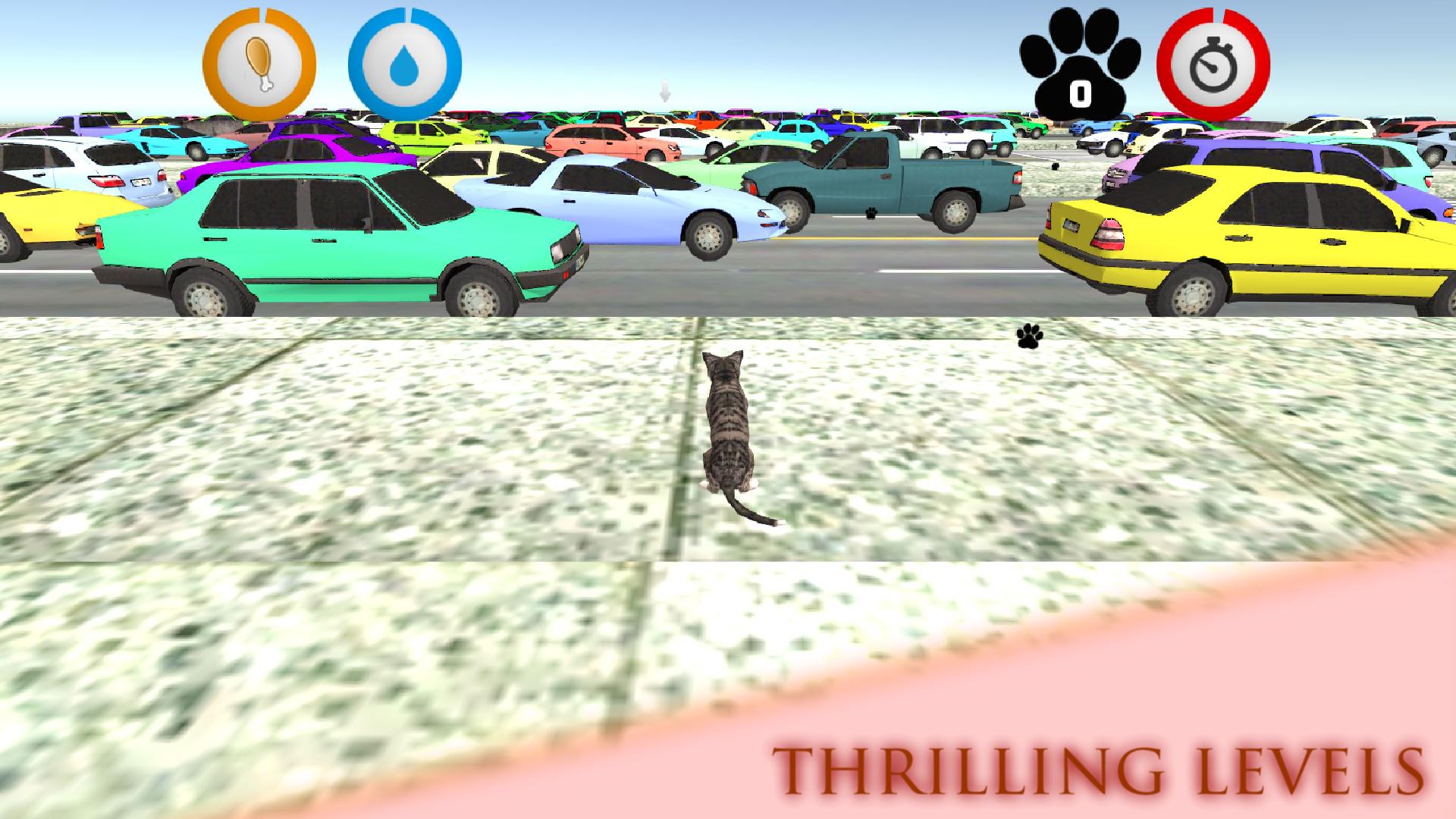Real Cat Simulator