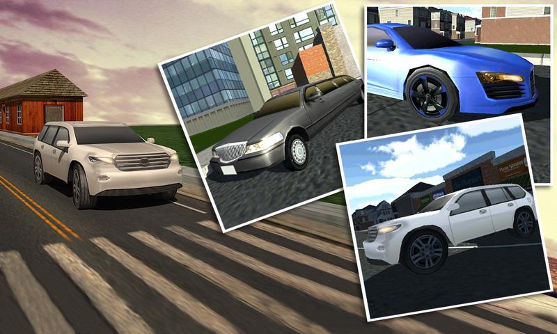 Luxury Sports Car Driver 3D