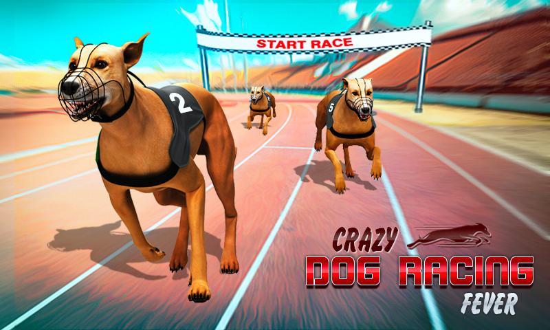 Wild Dog Racing tournament 3D