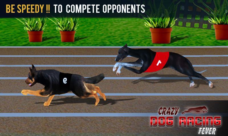 Wild Dog Racing tournament 3D