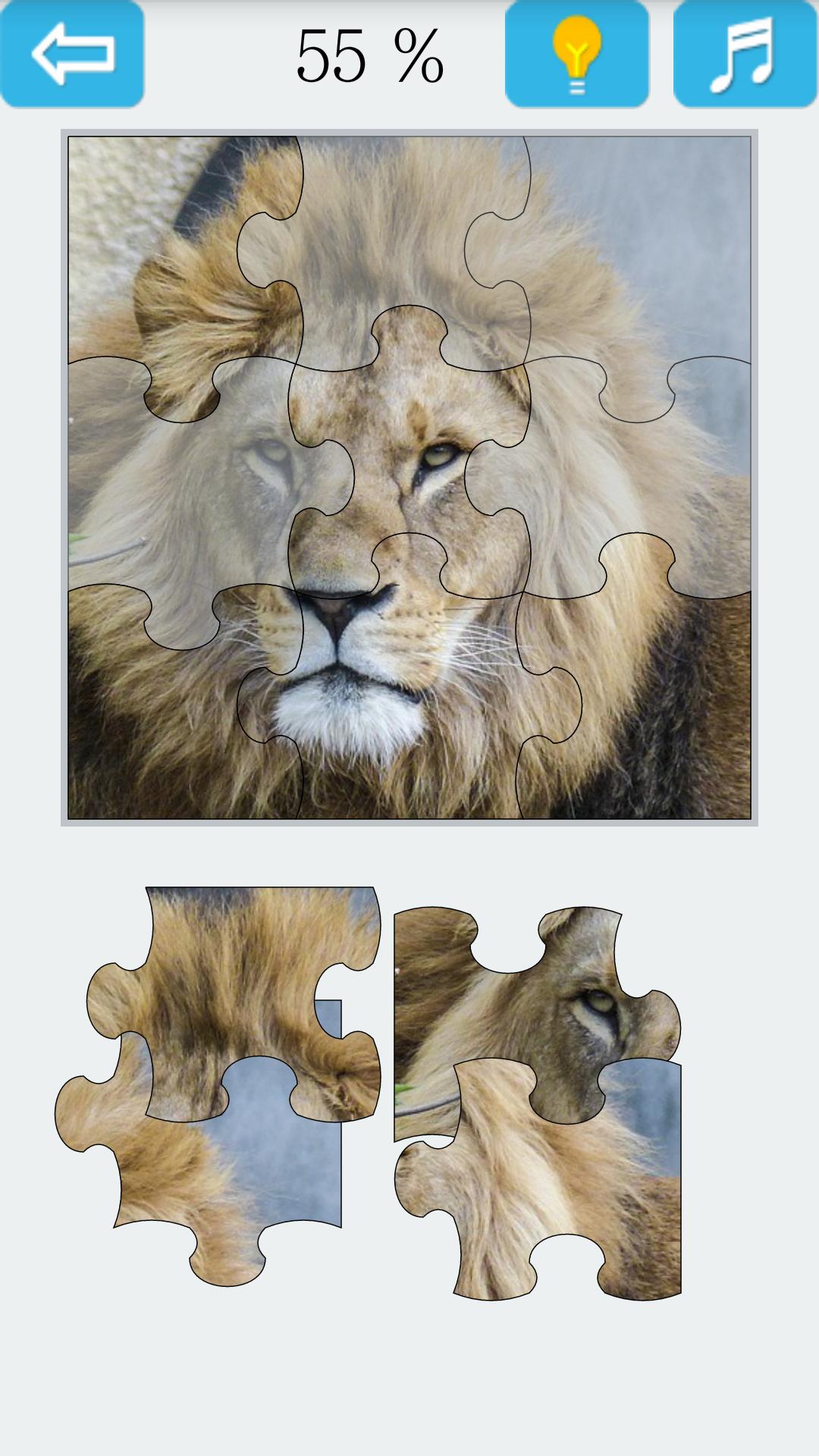 Jigsaw Puzzle: Lion