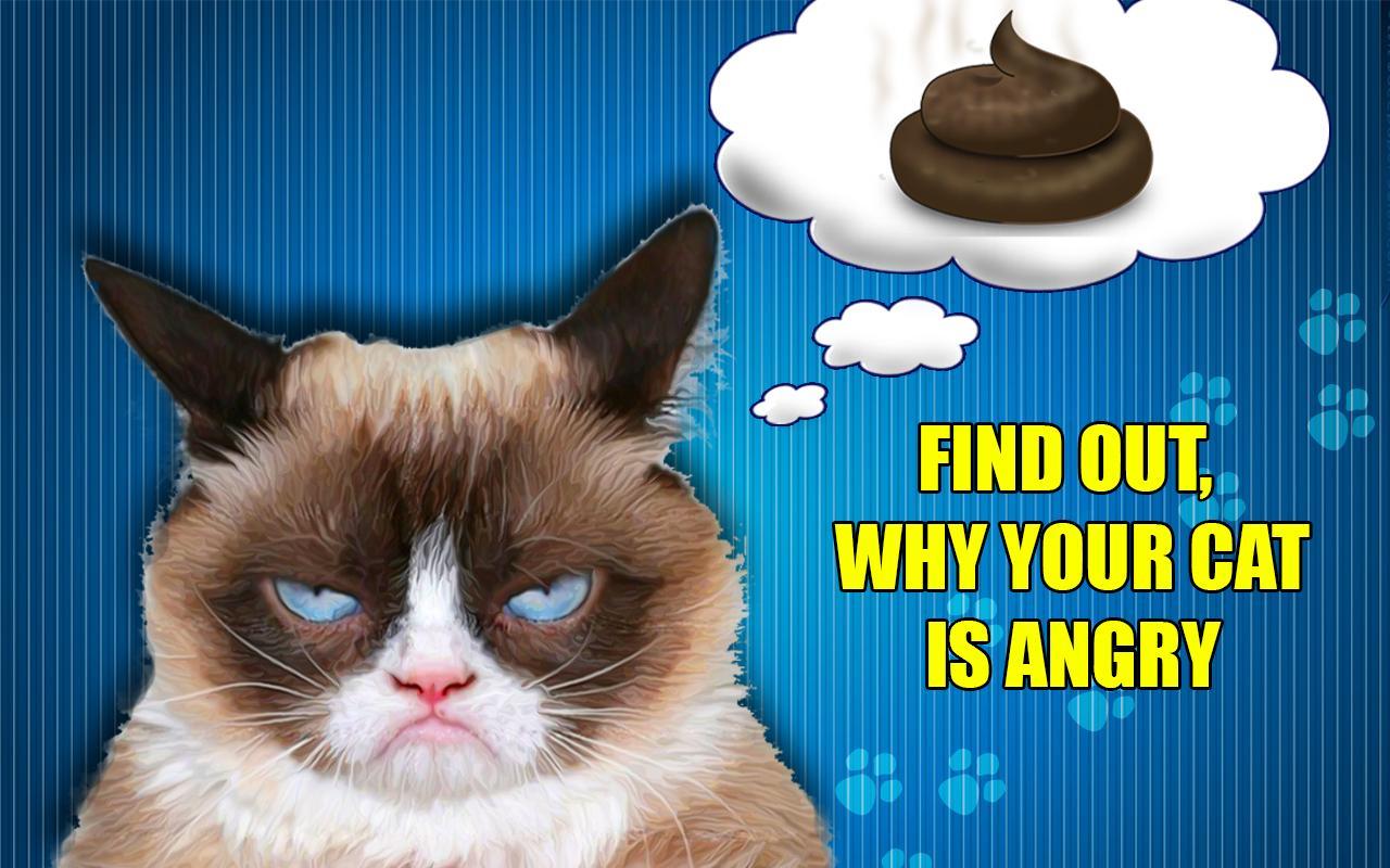 Cat translator - Mind reading