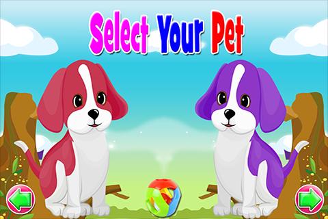 Puppy Wash & Dress Up