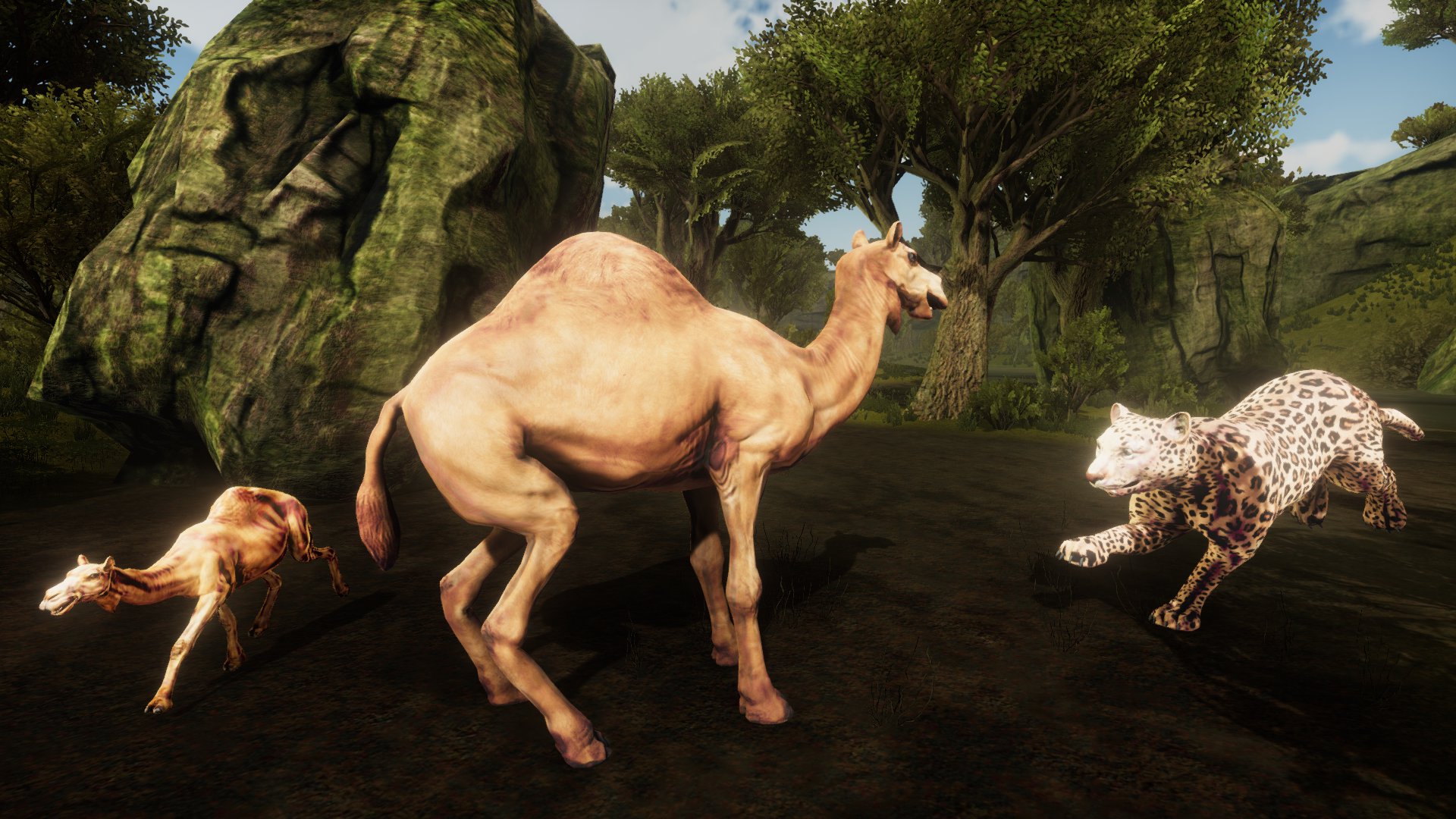 Ultimate Camel Simulator