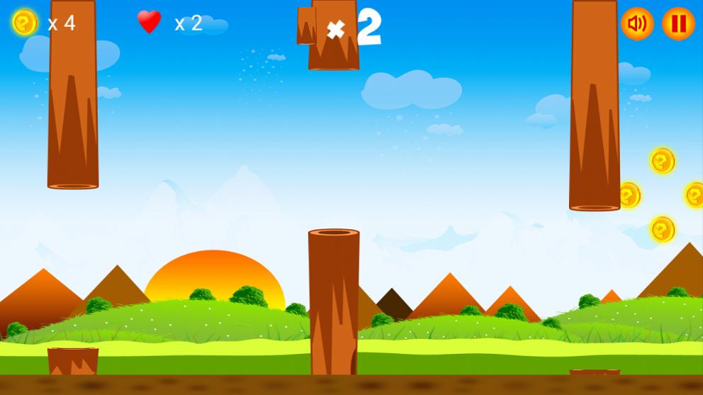 Crazy Fly Bird New